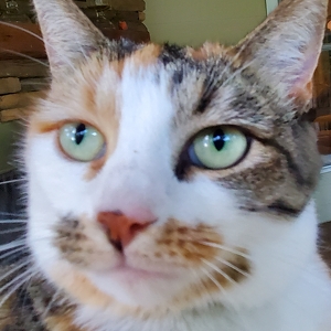 Fundraising Page: Tandi Ryder